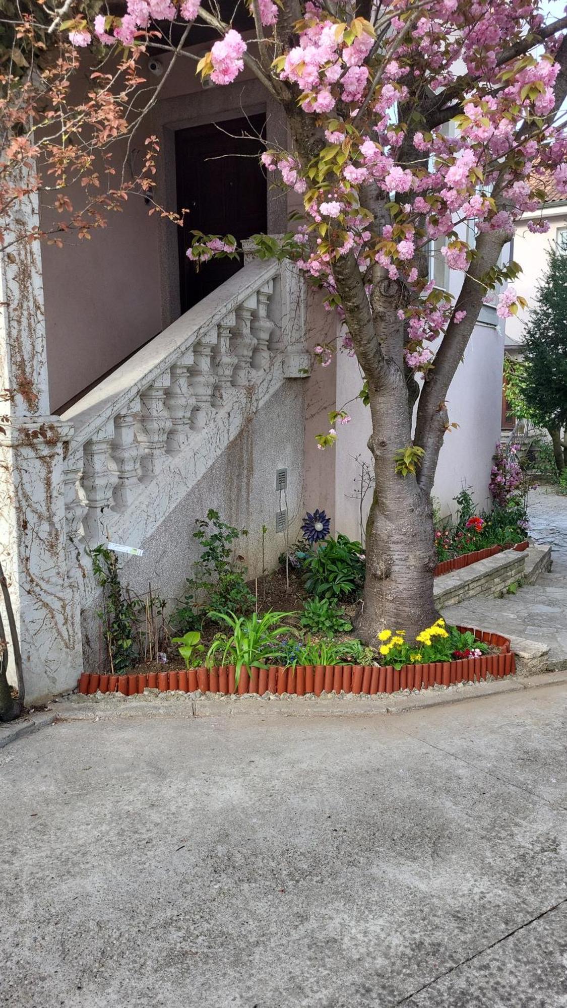 Villa Vino & Grad Zagreb Eksteriør billede
