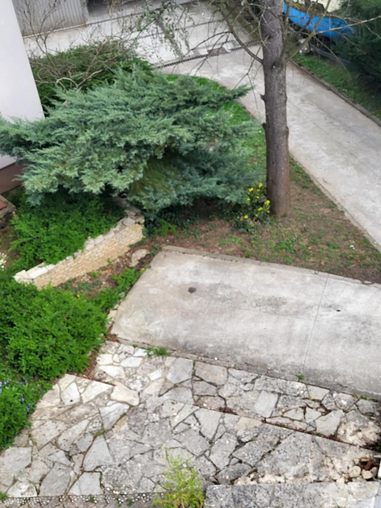 Villa Vino & Grad Zagreb Eksteriør billede