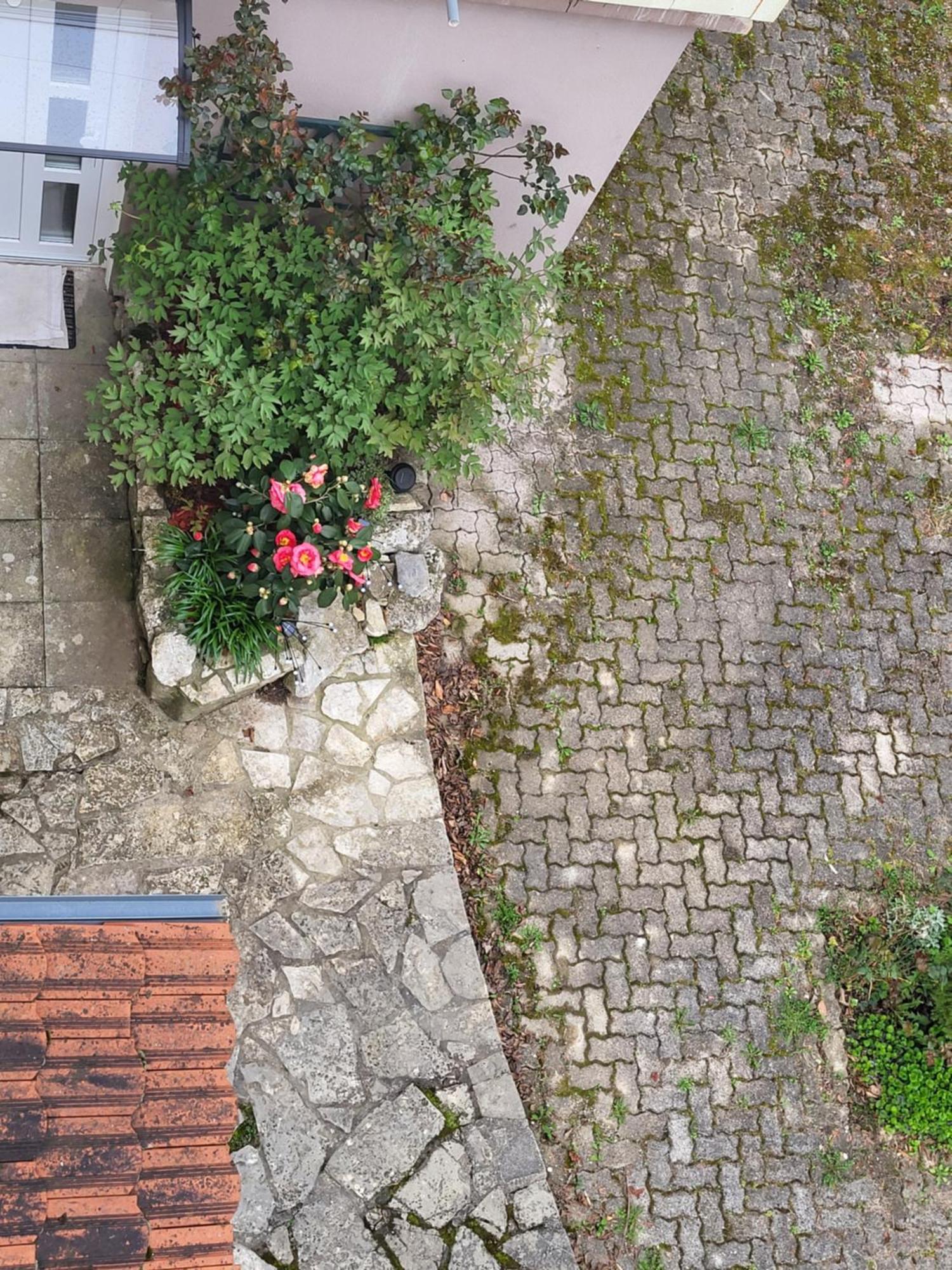 Villa Vino & Grad Zagreb Eksteriør billede